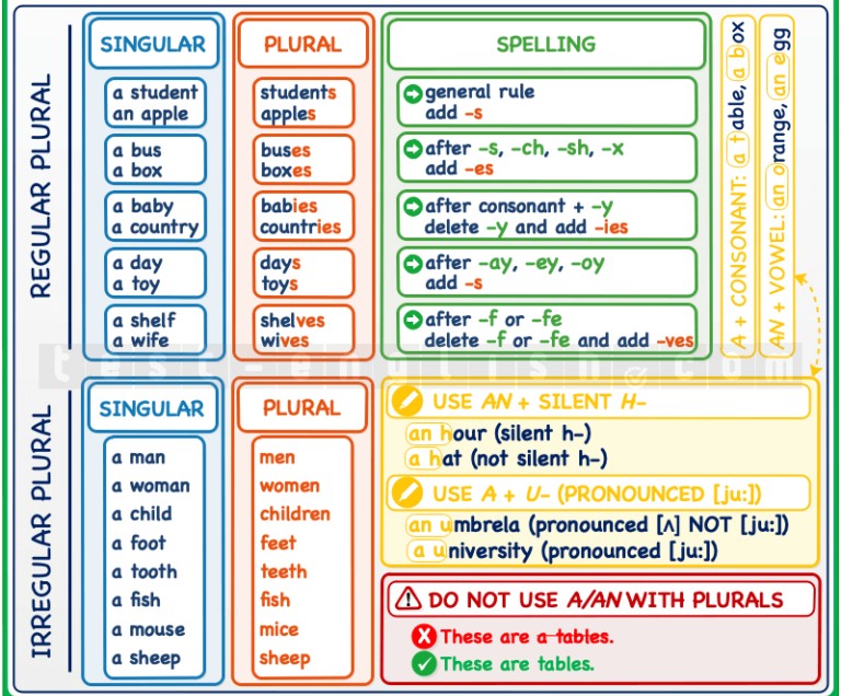 Grammar chart for a/an and plurals: rules for using articles and forming regular and irregular plurals