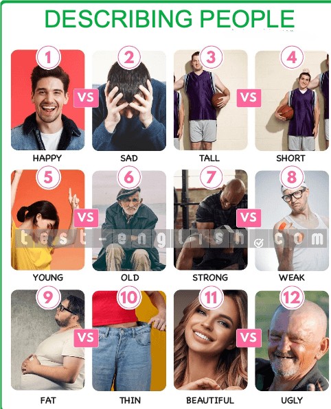 Comparison chart of opposite adjectives describing people for A1 English learners