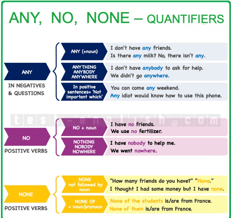 Grammar chart explaining 'no', 'any', and 'none' as quantifiers with examples for English learners.