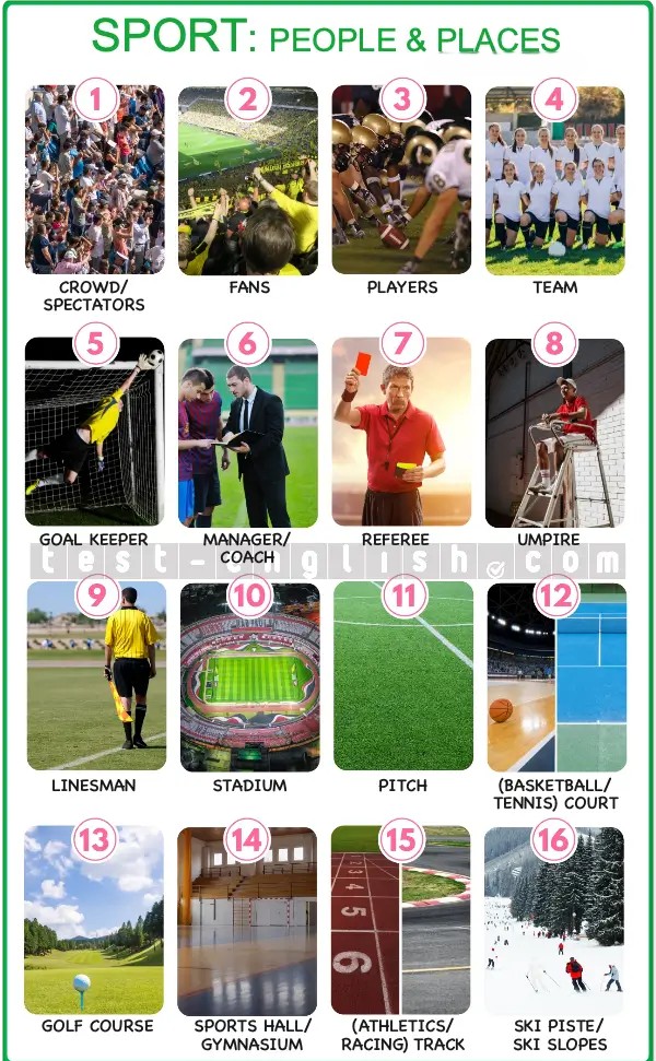 Sports vocabulary chart showing crowd, players, stadium, pitch, court, etc.