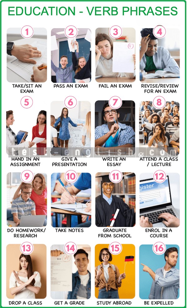 Infographic of education verb phrases: revise, pass an exam, graduate, enrol, study abroad