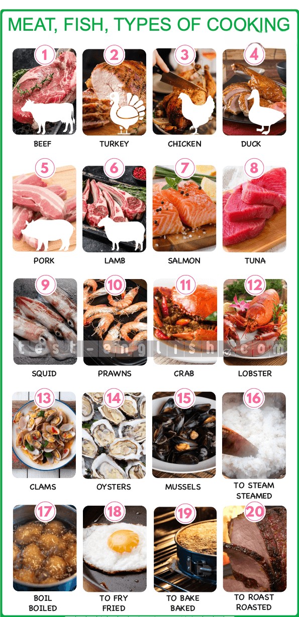 Infographic showing meat (beef, turkey, chicken, duck, pork, lamb), seafood (salmon, tuna, squid, prawns, crab, lobster, clams, oysters, mussels), and cooking methods (steamed, boiled, fried, baked, roasted)