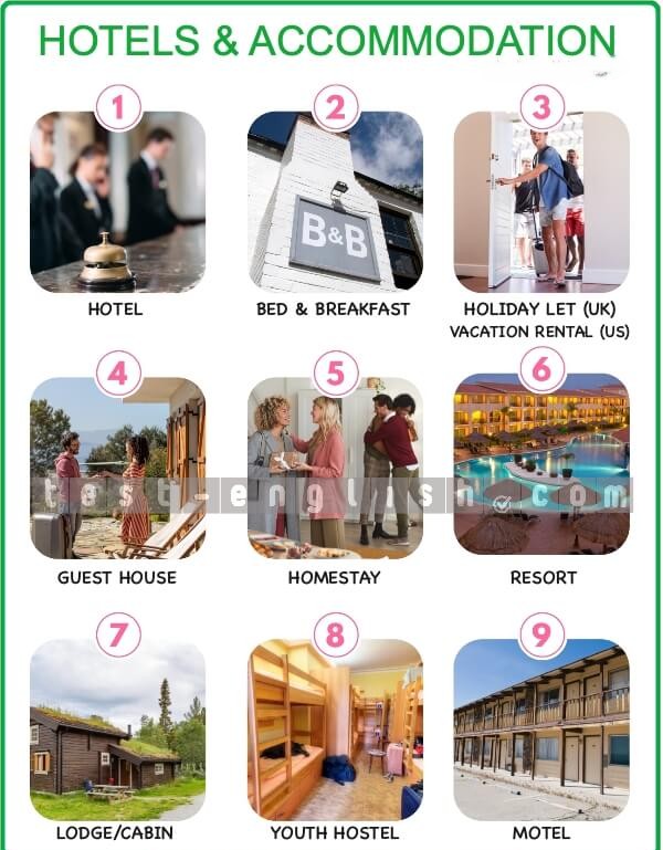 Infographic of accommodation types: hotel, B&B, vacation rental, homestay, resort, cabin, hostel, motel