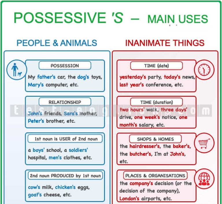 Grammar chart - Possessive 's