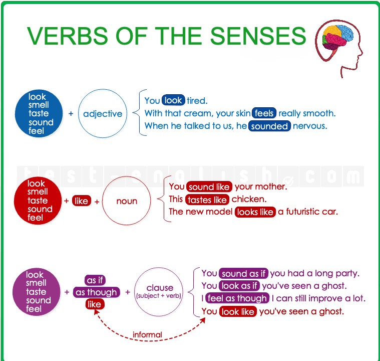 Illustration showing dynamic uses of sense verbs: a person smelling milk, tasting soup, feeling fabric, and looking through binoculars — representing intentional actions.