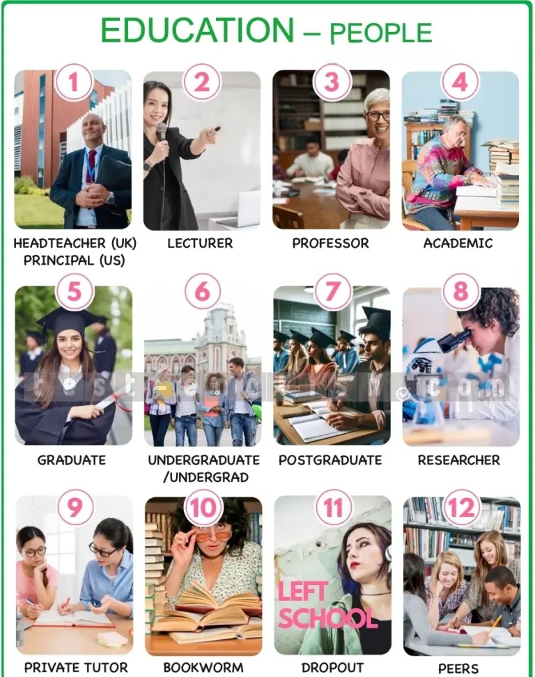 Infographic of education roles: headteacher, lecturer, professor, academic, graduate, undergraduate, postgraduate, researcher, private tutor, bookworm, dropout, peers