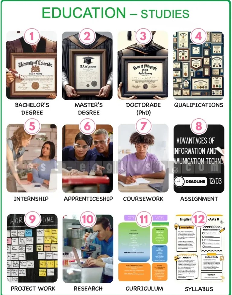 Infographic of education studies: bachelor's, master's, doctorate, qualifications, internship, apprenticeship, coursework, assignment, project work, research, curriculum, syllabus