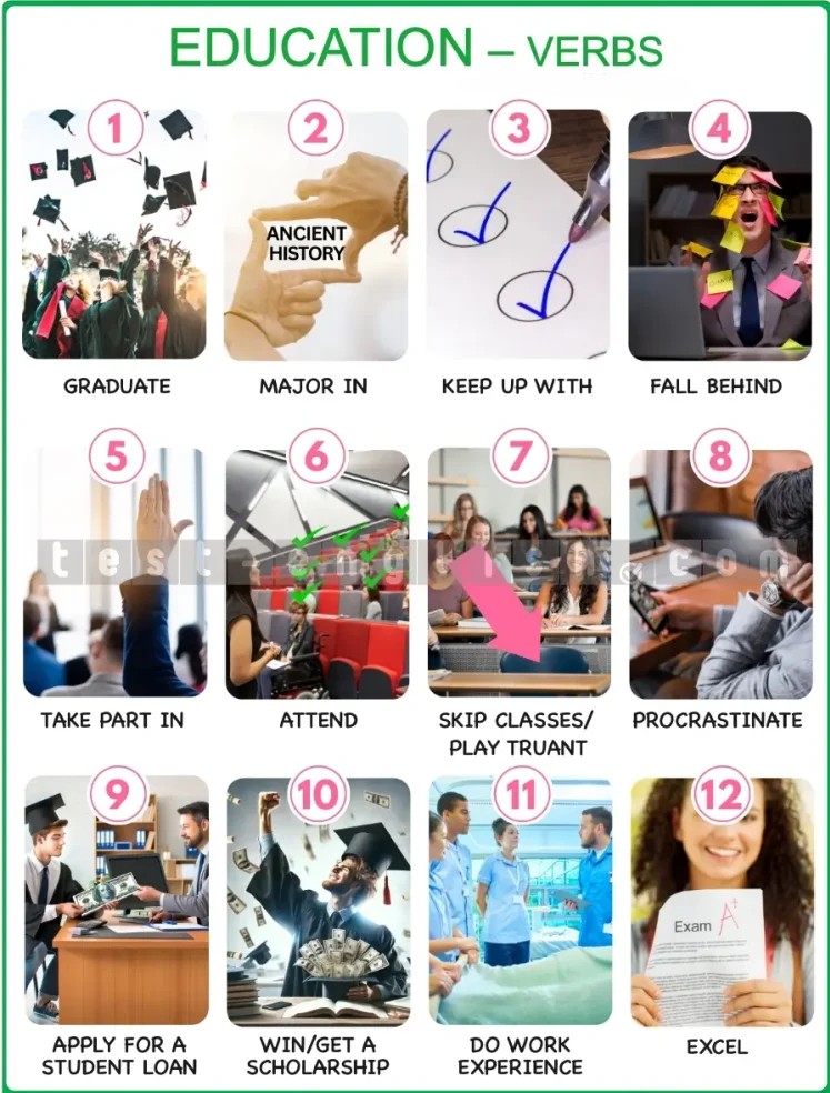 Infographic of education verbs: graduate, major in, keep up with, fall behind, take part in, attend, play truant, procrastinate, take out loan, get scholarship, do work experience, excel in
