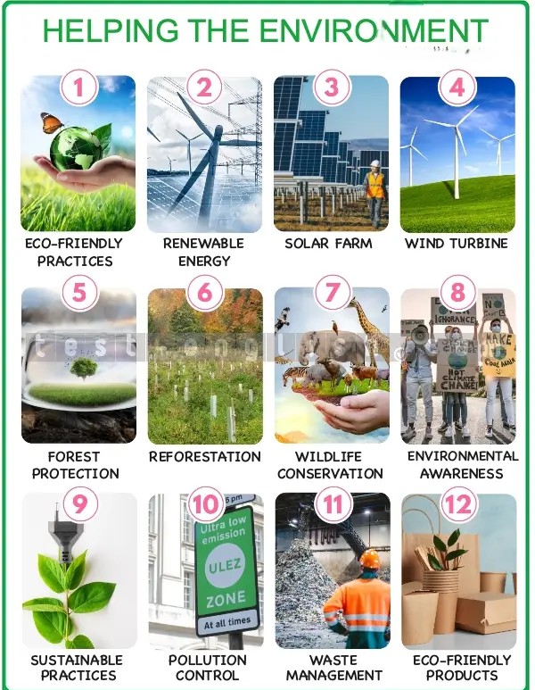 Infographic showing environmental solutions: solar farms, reforestation, recycling, wind turbines