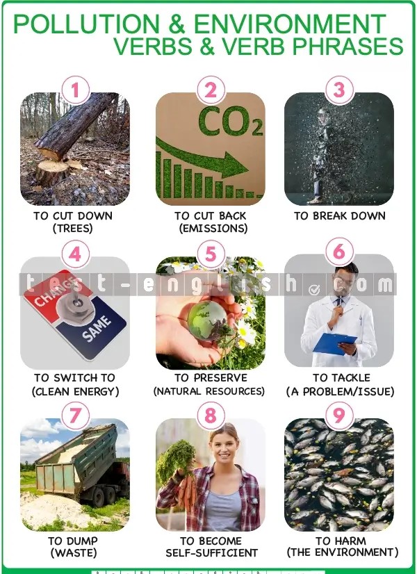 Infographic showing environmental verb phrases: cut down, switch to, break down, tackle