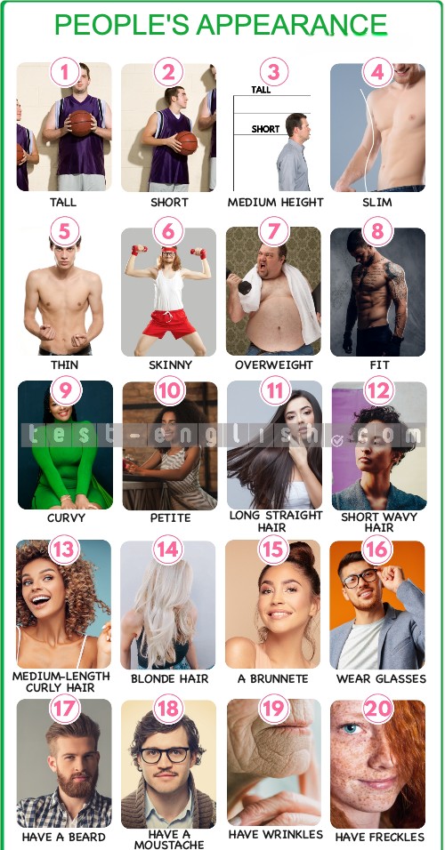 Illustrations showing people with different appearances: tall/short, slim/overweight, long/short hair, glasses, beard, freckles, etc.