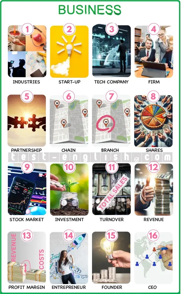 Business vocabulary: industry, start-up, tech company, firm, partnership, chain, branch, shares, stock market, investment, turnover, revenue, profit margin, entrepreneur, founder, CEO, go into business, set up a business, run a business, merge, take over, strike a deal, turn down, take on staff, go bankrupt, make a loss, make a profit, launch, expand, diversify, manufacture, produce