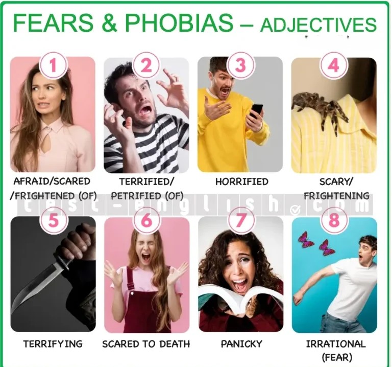 Adjectives: scared, afraid, frightened, terrified, petrified, horrified, scary, frightening, terrifying, scared to death, panicky, irrational