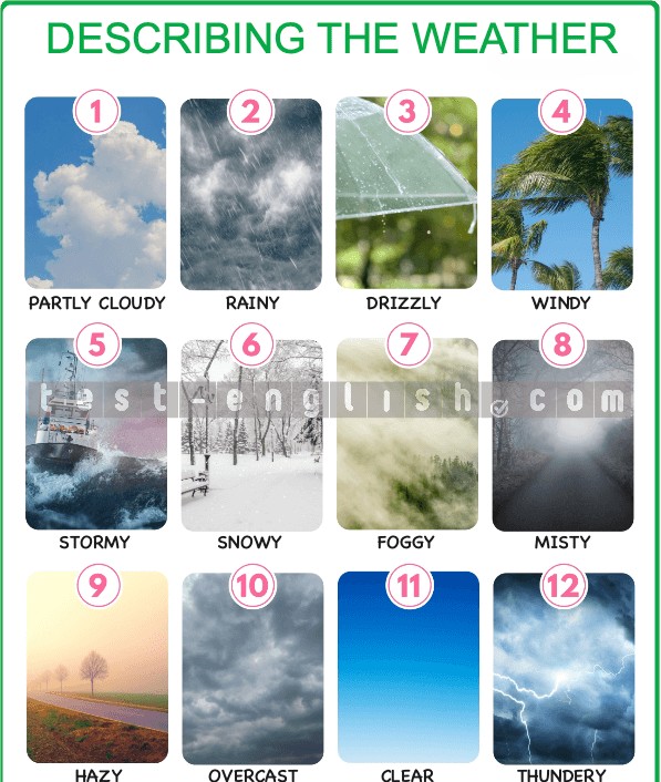 Infographic of weather types: sunny, rainy, stormy, snowy, foggy, hurricane, earthquake, tsunami